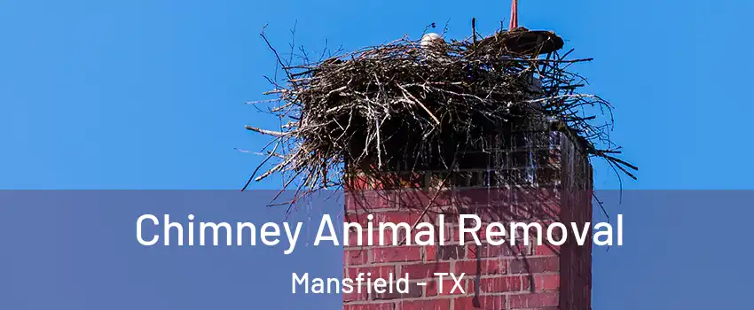 Chimney Animal Removal Mansfield - TX