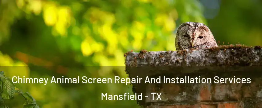  Chimney Animal Screen Repair And Installation Services Mansfield - TX