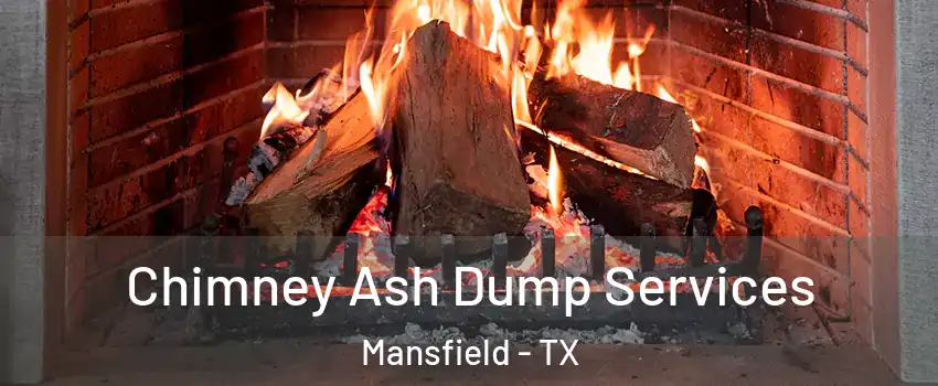  Chimney Ash Dump Services Mansfield - TX