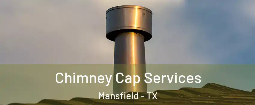  Chimney Cap Services Mansfield - TX