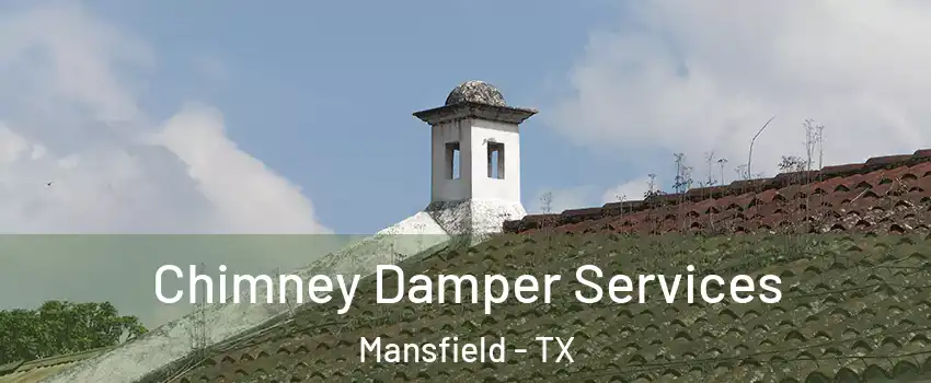  Chimney Damper Services Mansfield - TX