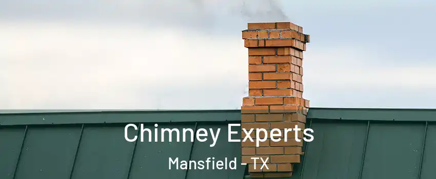 Chimney Experts Mansfield - TX