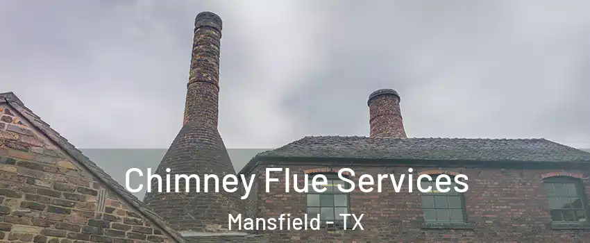  Chimney Flue Services Mansfield - TX