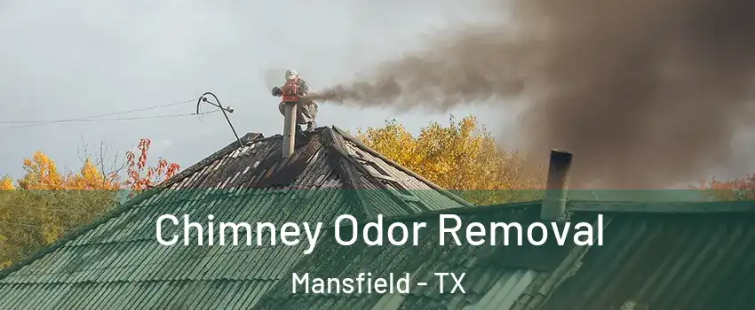  Chimney Odor Removal Mansfield - TX