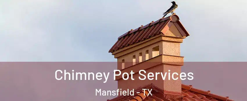  Chimney Pot Services Mansfield - TX
