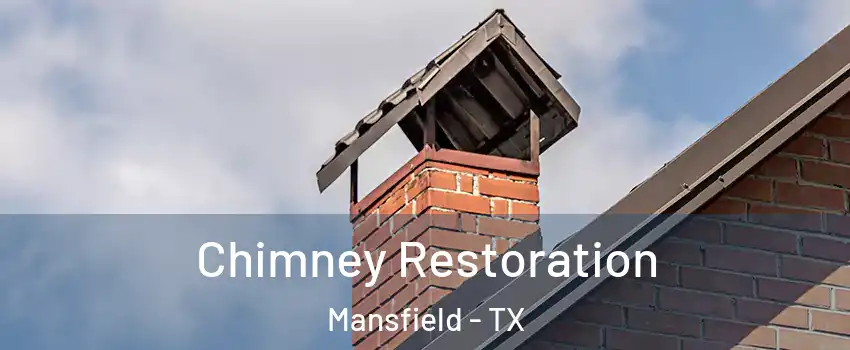  Chimney Restoration Mansfield - TX