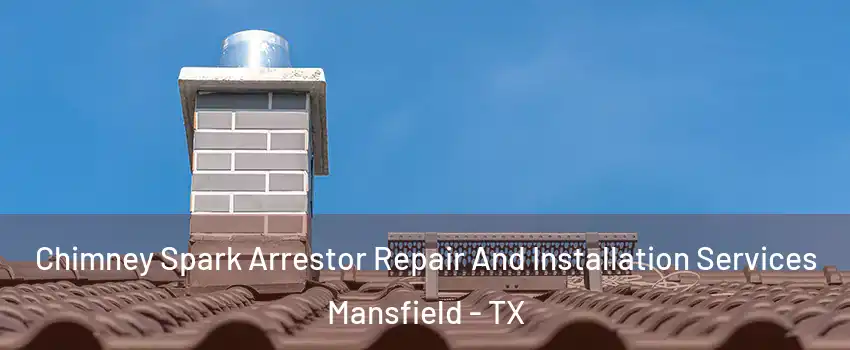  Chimney Spark Arrestor Repair And Installation Services Mansfield - TX