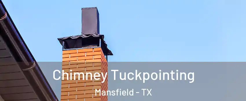  Chimney Tuckpointing Mansfield - TX