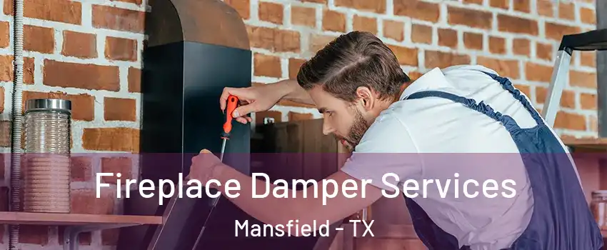  Fireplace Damper Services Mansfield - TX