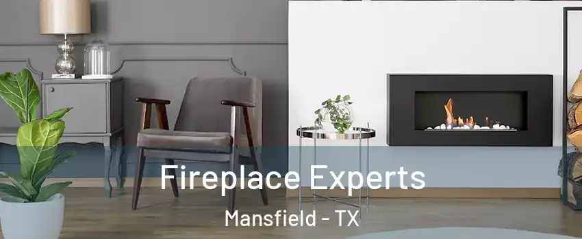  Fireplace Experts Mansfield - TX