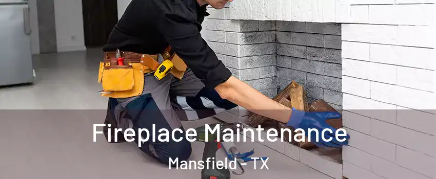  Fireplace Maintenance Mansfield - TX