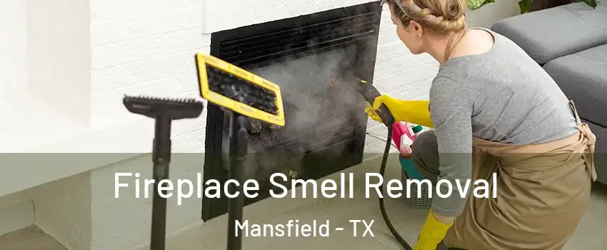  Fireplace Smell Removal Mansfield - TX