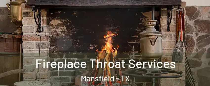 Fireplace Throat Services Mansfield - TX