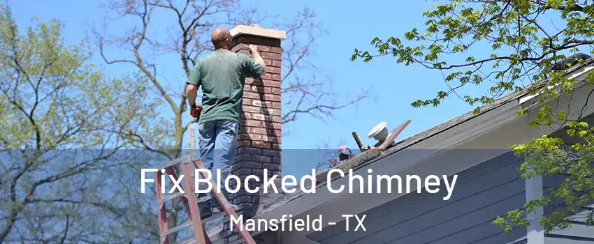 Fix Blocked Chimney Mansfield - TX