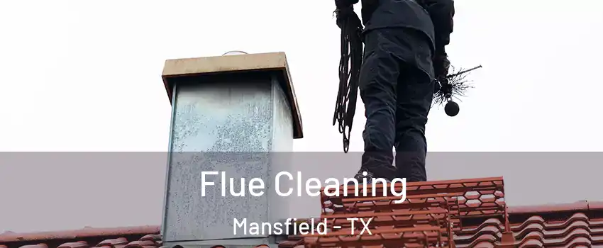  Flue Cleaning Mansfield - TX