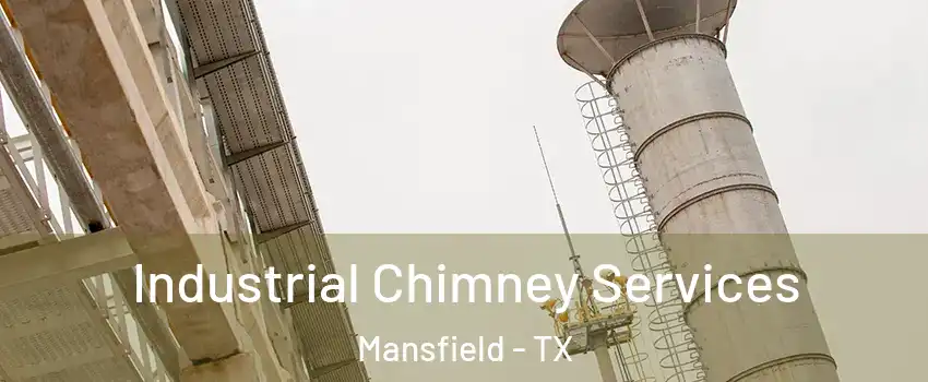  Industrial Chimney Services Mansfield - TX