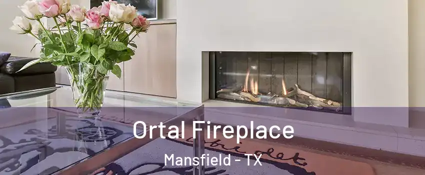 Ortal Fireplace Mansfield - TX